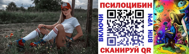 Псилоцибиновые грибы GOLDEN TEACHER  Купить  Курган 